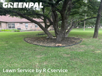 Lawn Cutting nearby Georgetown, TX, 