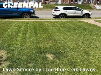 Lawn Care nearby Dundalk, MD, 