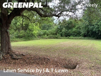Lawn Maintenance nearby Mobile, AL, 