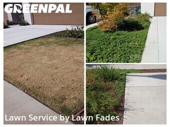 Lawn Maintenance nearby Roseville, CA, 
