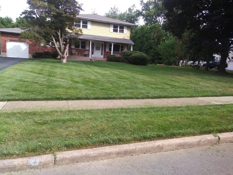 Yard mowing company in Ewing Township, NJ, 08618