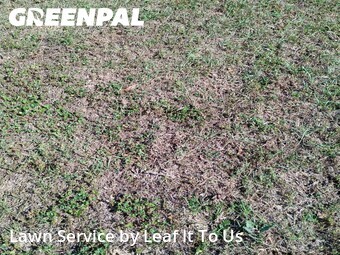 Lawn Care nearby Tallahassee, FL, 
