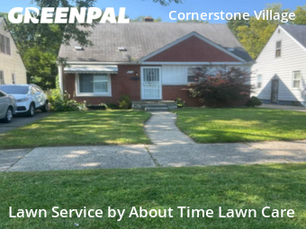 Grass Cut nearby Detroit, MI, 