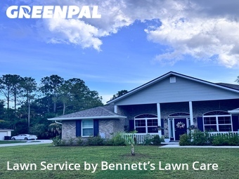 Grass Cut nearby Palm Coast, FL, 