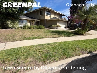 Work completed by grass-cutting-businesses-in-Los Angeles-CA
