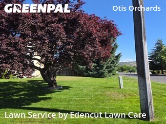 Lawn Mowing Service nearby Otis Orchards East Farms, WA, 