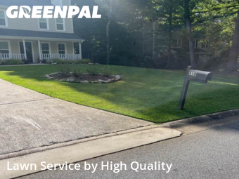 Yard Care Services in Peachtree City, 30269, Lawn Cutting by High Quality , work completed in Dec , 2025