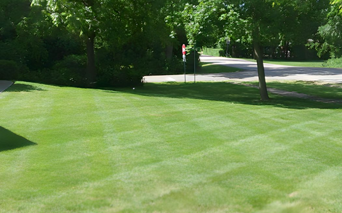 Work Image 4