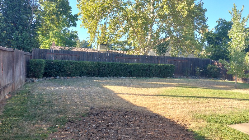 Lawn mowing work by Dst Landscaping in Lincoln, CA
