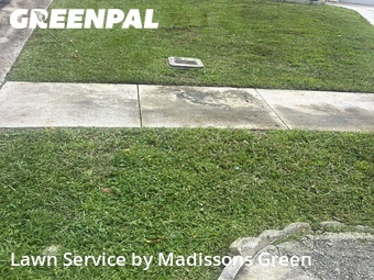 Lawn Maintenance nearby Greenacres, FL, 