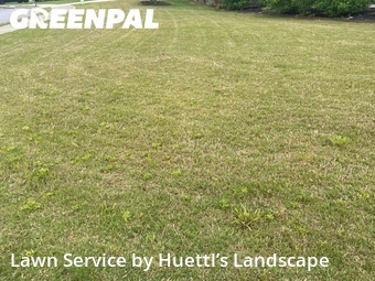 Lawn Care nearby Cumming, GA, 