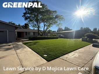 Grass Cutting nearby Elk Grove, CA, 