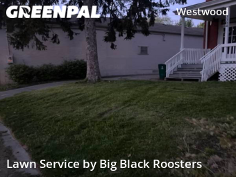 Yard Mowing nearby Cincinnati, OH, 