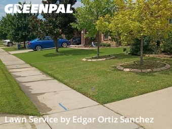 Lawn Cut nearby Princeton, TX, 