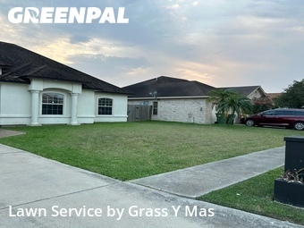 Lawn mowed in Brownsville, 78526