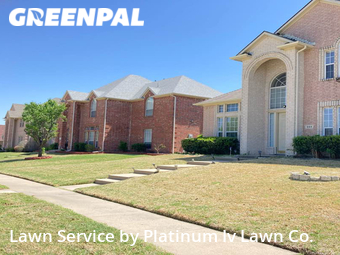 Grass Cut nearby Plano, TX, 