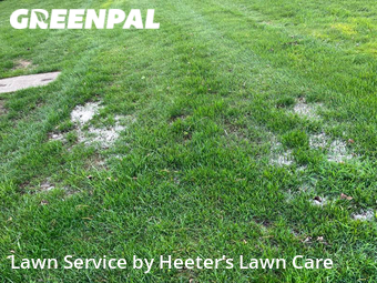 Lawn Care nearby Indianapolis, IN, 