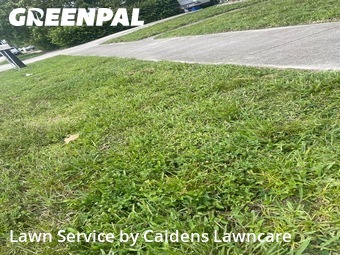Lawn Care nearby Pompano Beach, FL, 