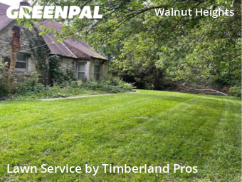 Lawn Service nearby Columbus, OH, 