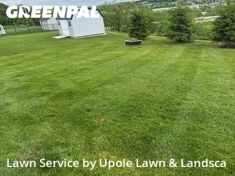Yard Mowing nearby Washington, PA, 