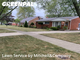 Grass Care in Troy, 48083, Weed Trimming by Mitchell&Company, work completed in Nov , 2025