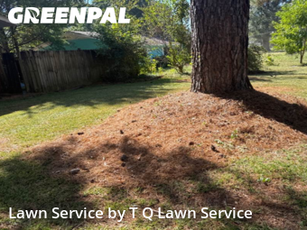 Lawn Cutting nearby Jackson, MS, 