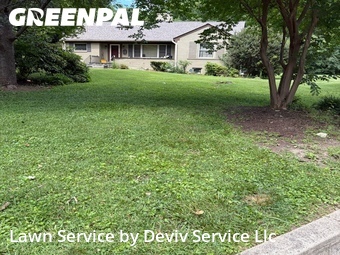 Lawn Cut nearby Silver Spring, MD, 