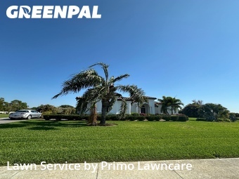 Grass Cut nearby Sarasota, FL, 