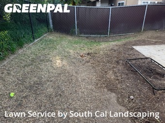 Affordable Landscaping Maintenance Services In San Diego,92124,Landscaping Cleanup by South Cal Landscaping, work completed in Apr , 2026