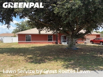 Grass Cut nearby Ocala, FL, 