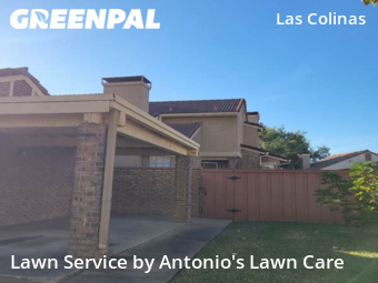 Landscaping Renovation In Irving,75038,Landscaping Services by Antonio's Lawn Care, work completed in Nov , 2025