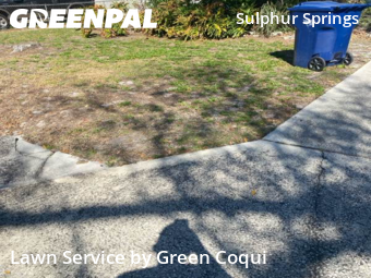 Lawn Care Service nearby Tampa, FL, 