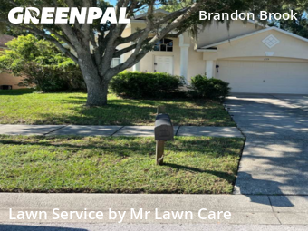 Lawn Mowing Service nearby Valrico, FL, 