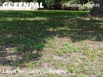 Lawn Mowingin St Petersburg,33710,Lawn Care Service by Longwing, work completed in Dec , 2025