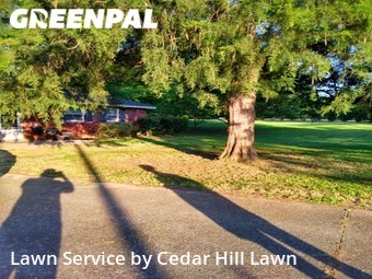 Lawn Mowing nearby Montgomery, TX, 