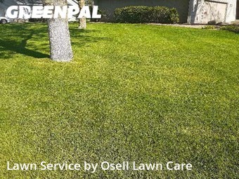 Lawn Mowing Service nearby Minneapolis, MN, 