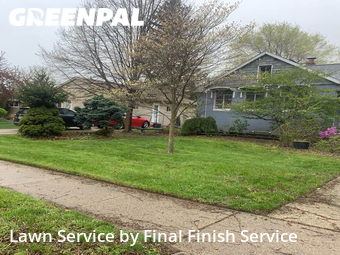 Lawn Cut nearby St. Clair Shores, MI, 