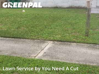 Work completed by reliable-lawn-care-service-in-Hollywood-CA