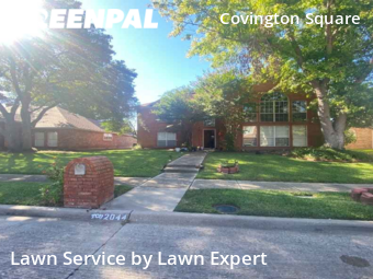 Yard Cutting nearby Plano, TX, 