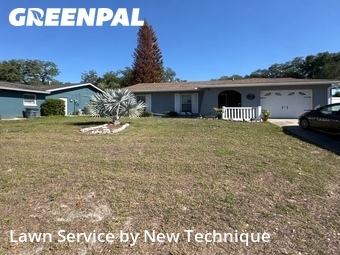 Lawn Carein Winter Springs,32708,Lawn Mowing by New Technique, work completed in Jun , 2026