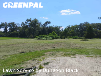 Lawn Cut nearby Prairieville, LA, 