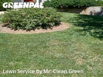 Lawn Care Service nearby Carney, MD, 