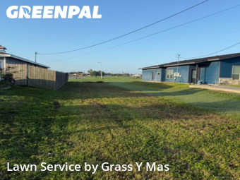 Lawn Service nearby Harlingen, TX, 