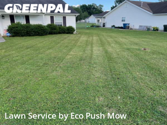 Lawn Cut nearby Rossville , GA, 