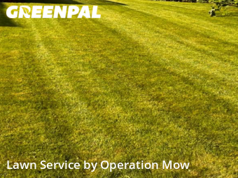 Turf Services in Alliance, 44601, Yard Cutting by Operation Mow, work completed in Nov , 2025