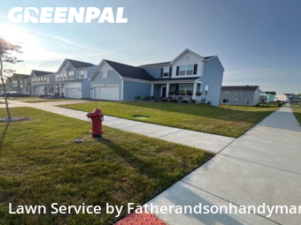 Grass Care in South Elgin, 60177, Lawn Upkeep by Fatherandsonhandyman, work completed in Nov , 2025