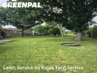 Lawn mowed in San Juan, 78589