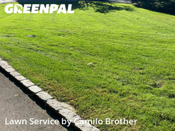 Lawn Mowing Service nearby Westport, CT, 