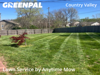 Lawn Mow nearby Kansas City, MO, 