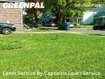 Grass Cut nearby Buffalo, NY, 